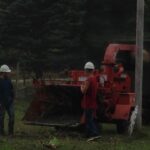 Wexford County Stump Grinding
