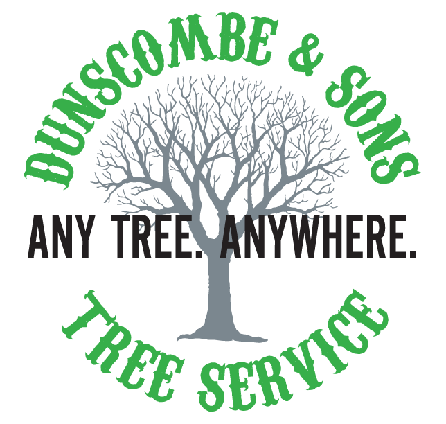 contact dunscombe tree service