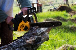 Say Goodbye to Unsightly Stumps