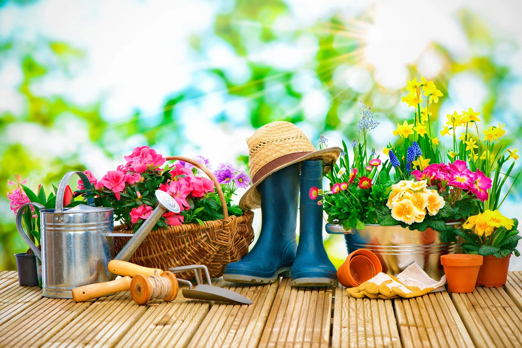 spring cleanup checklist