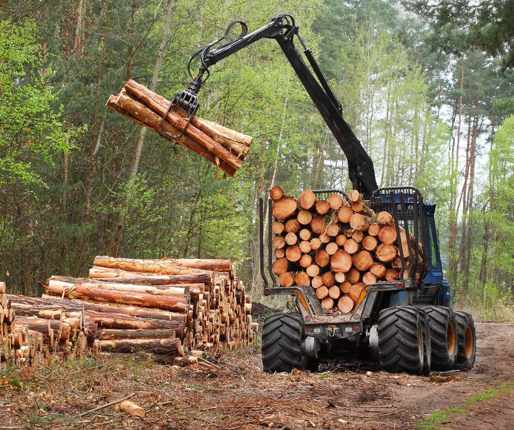 Lot Clearing